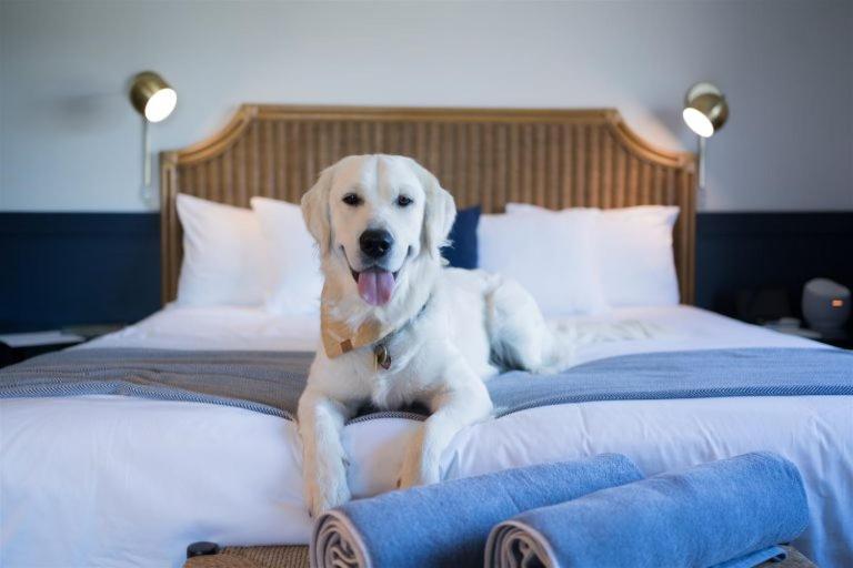 Wylder Hotel - Tilghman Island Bagian luar foto